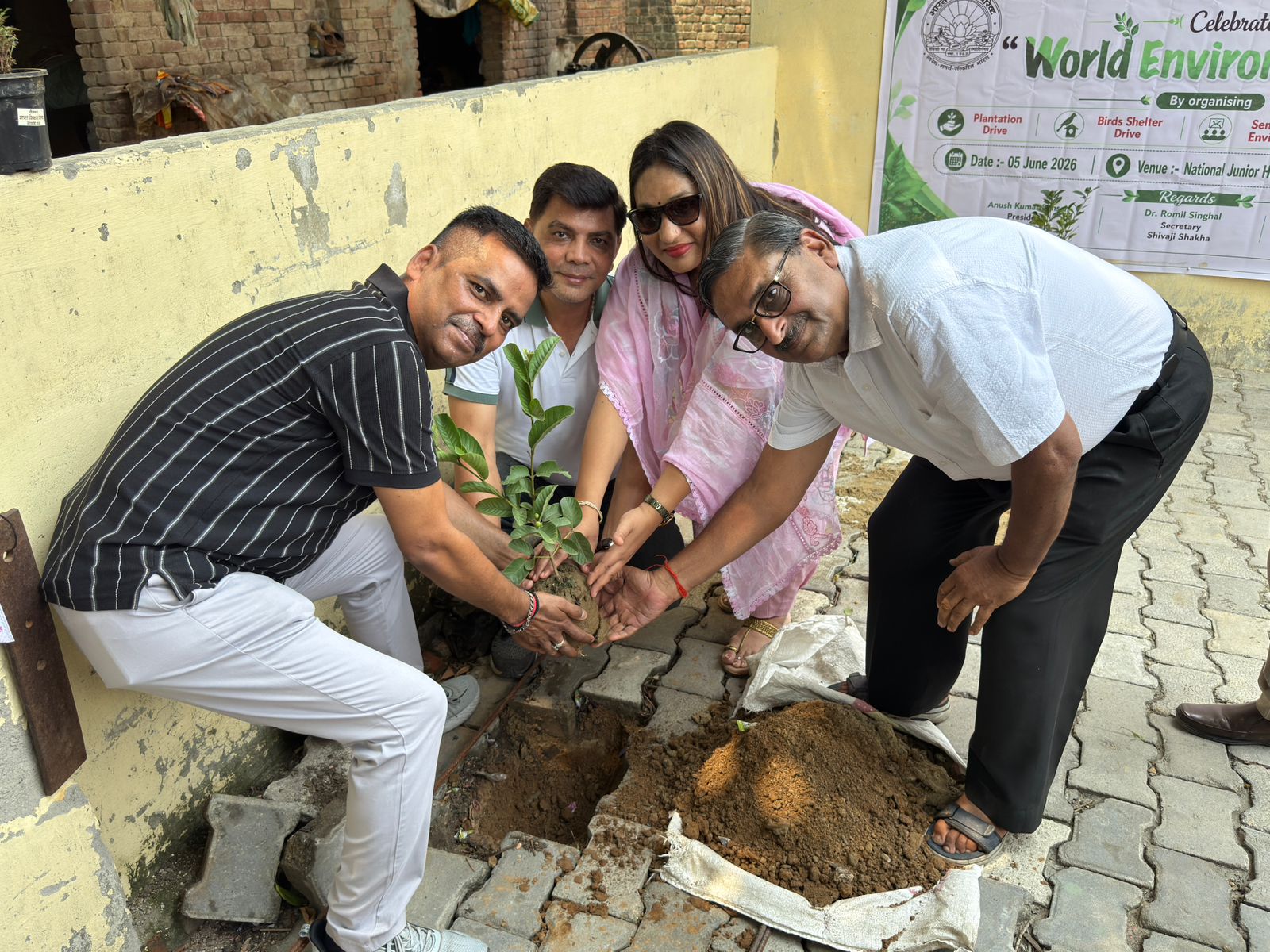 Gallery Image 7